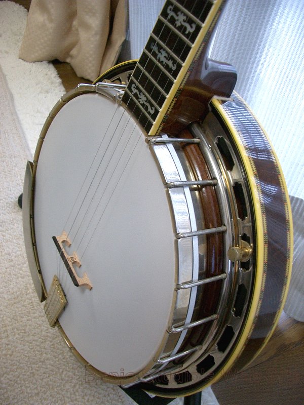 Japanese Vintage 5 String Banjo Life and Passion