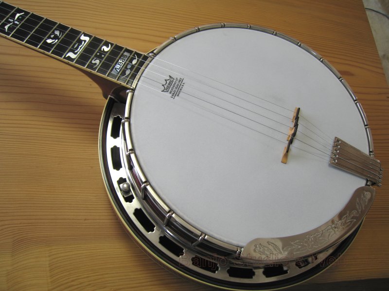 Japanese Vintage 5 String Banjo Life and Passion